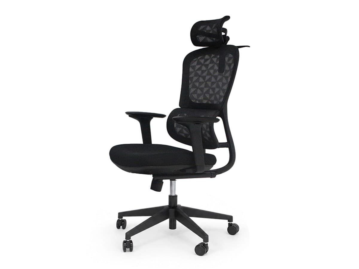 C10 Ergonomic Chair Series